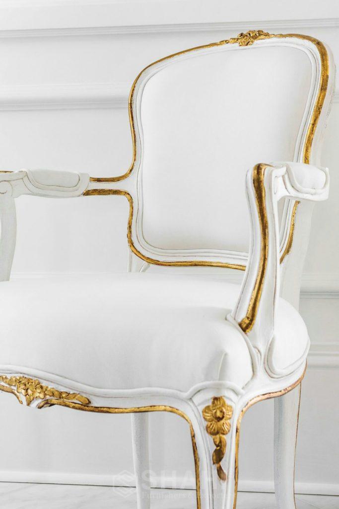 Contemporary Style Chair - Shahi® Furniture by Anil Shahi